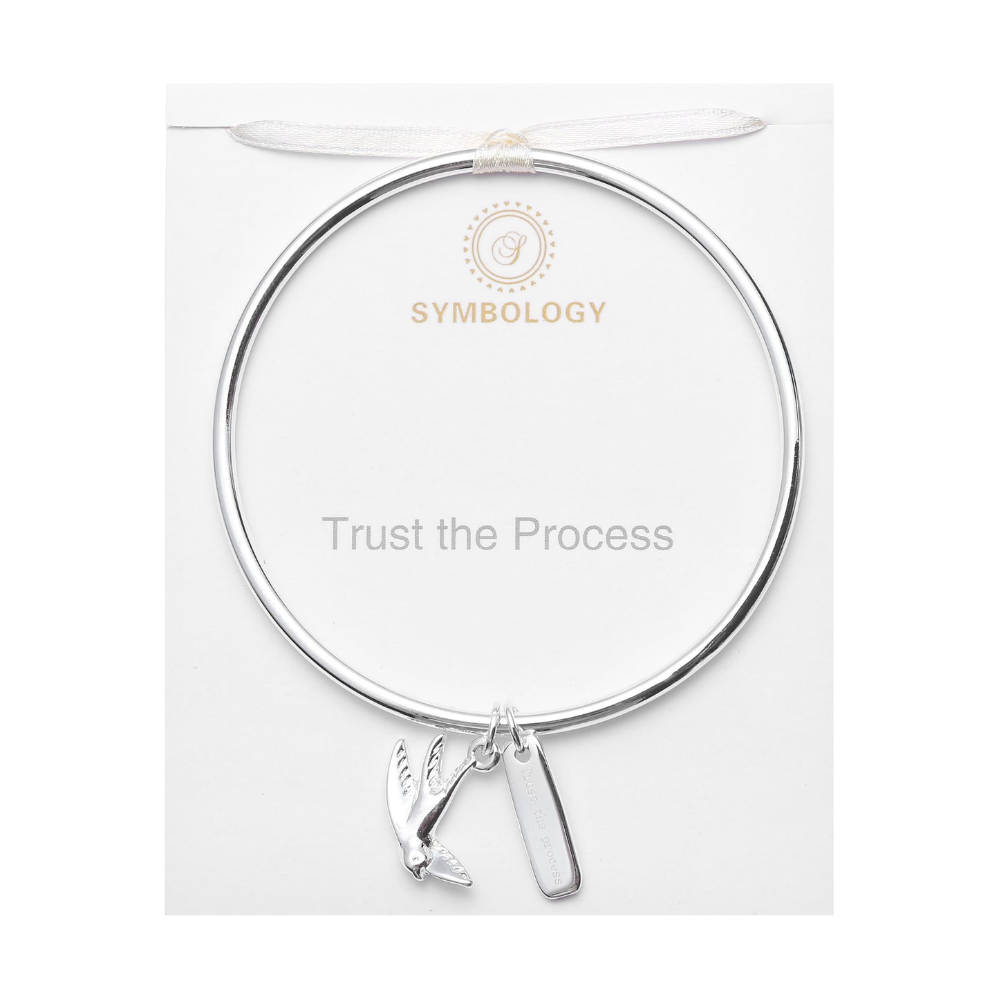 Trust the Process Bangle with Silver Swallow Charm, Symbology, Symbol Bangle, Sentimental, Believe Yourself, Encouraging Gift (Gift boxed)