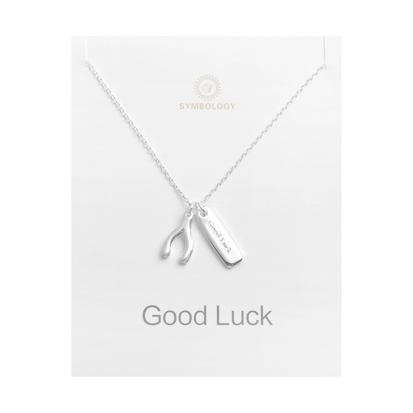 Silver Wishbone Necklace: Birthstone Initial Charm, Good Luck Gift