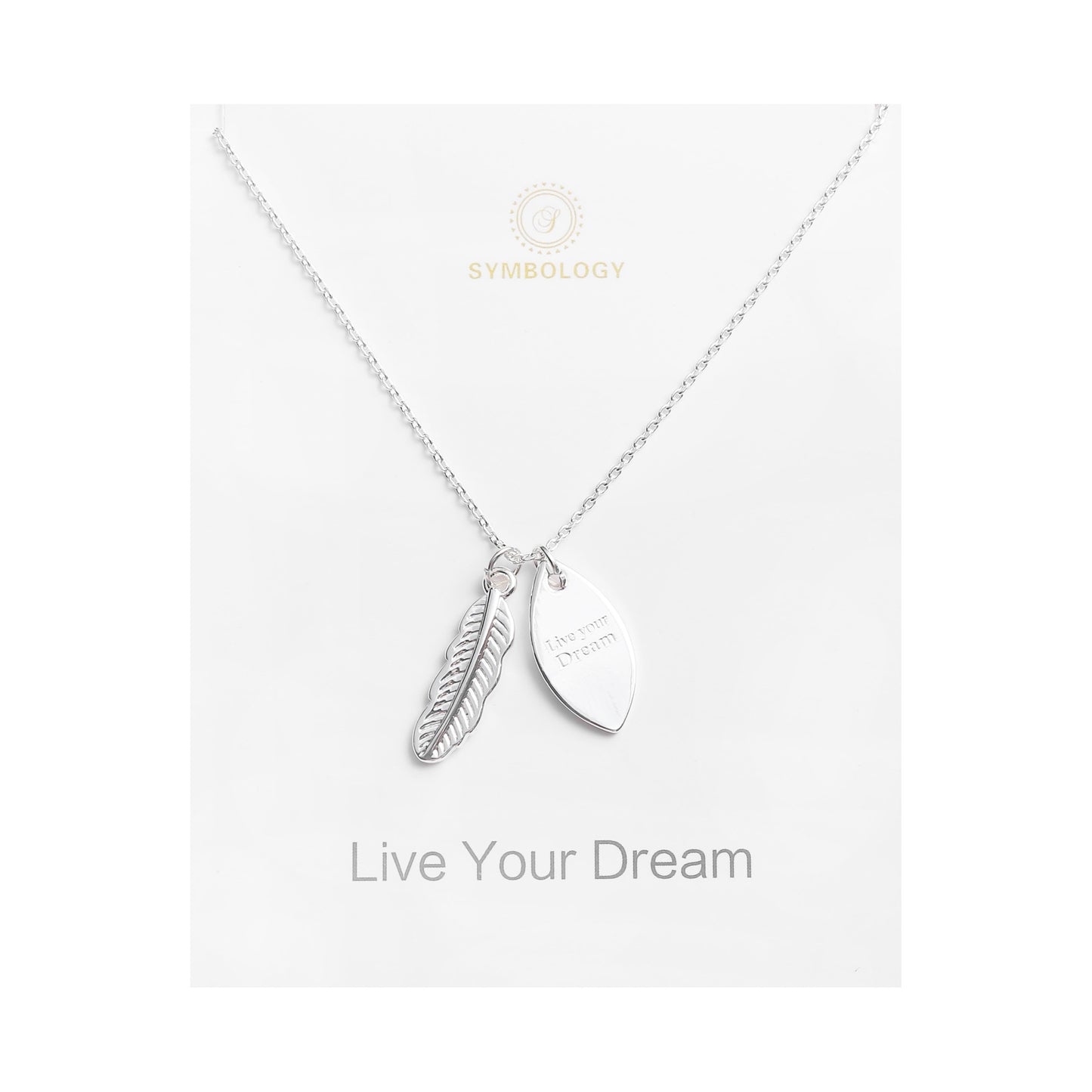 Silver Feather Pendant Necklace: 'Live Your Dream' Charm, Sentimental Gift