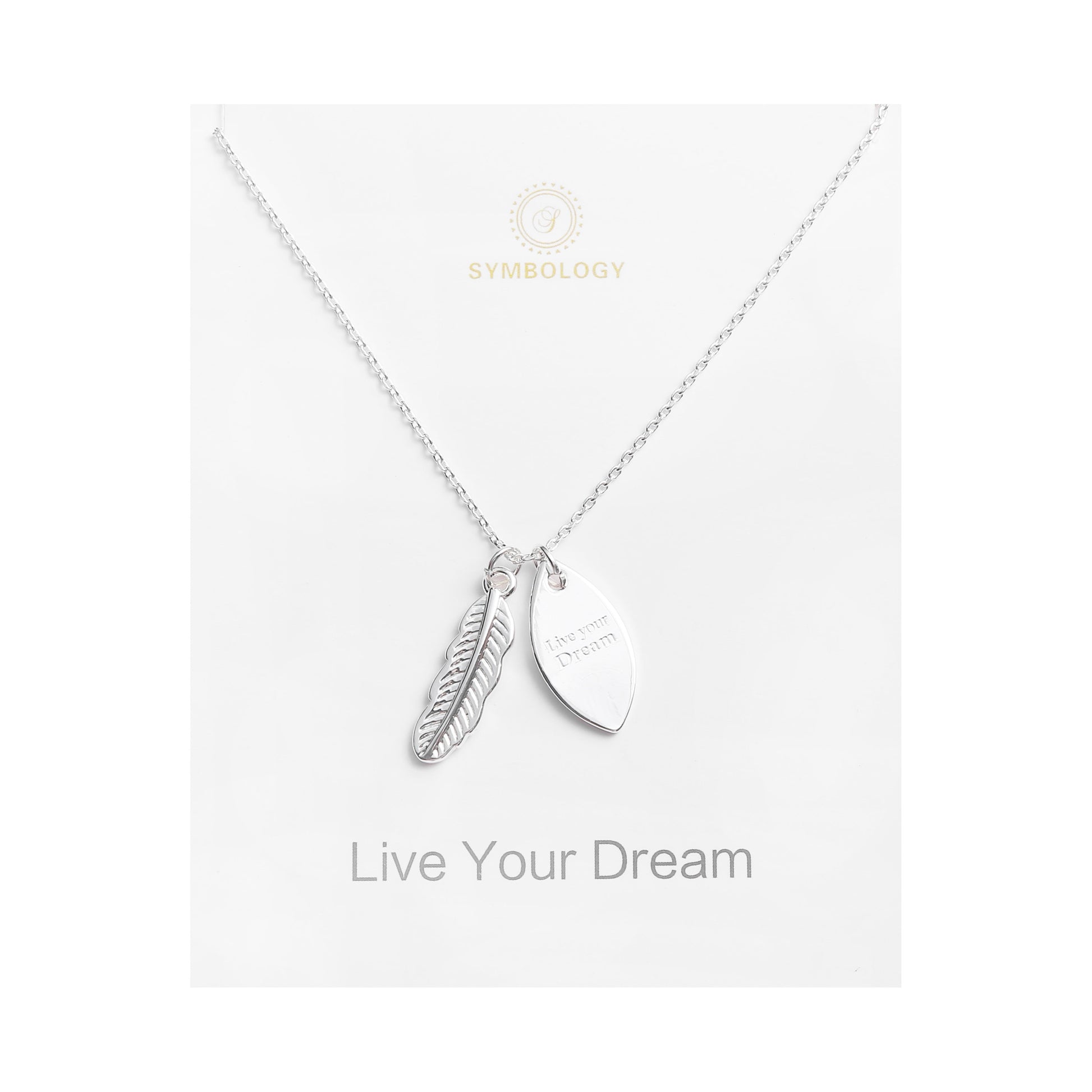 Silver Feather Pendant Necklace: 'Live Your Dream' Charm, Sentimental Gift