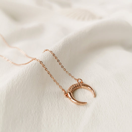 Sister Gift Necklace of SYMBOLOGY / Crescent Moon Necklace With Gift Box For Best Sister / Little Sister Big Sister / Best Sis in the world