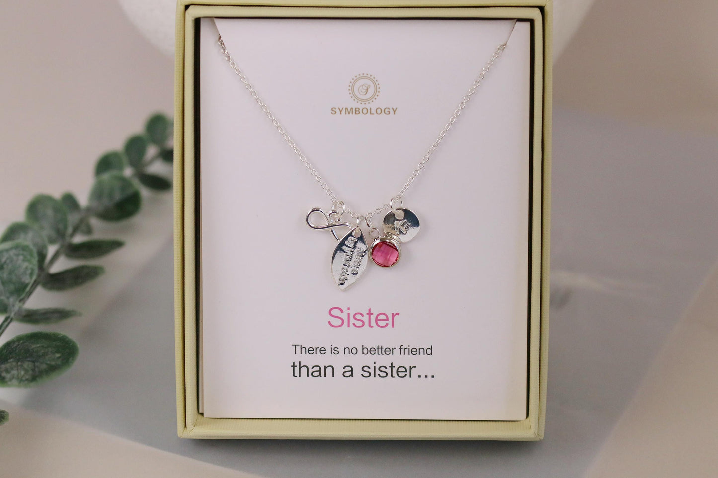 Sterling Silver Plated Sister Necklace: Infinity Pendant, Birthstone Initial