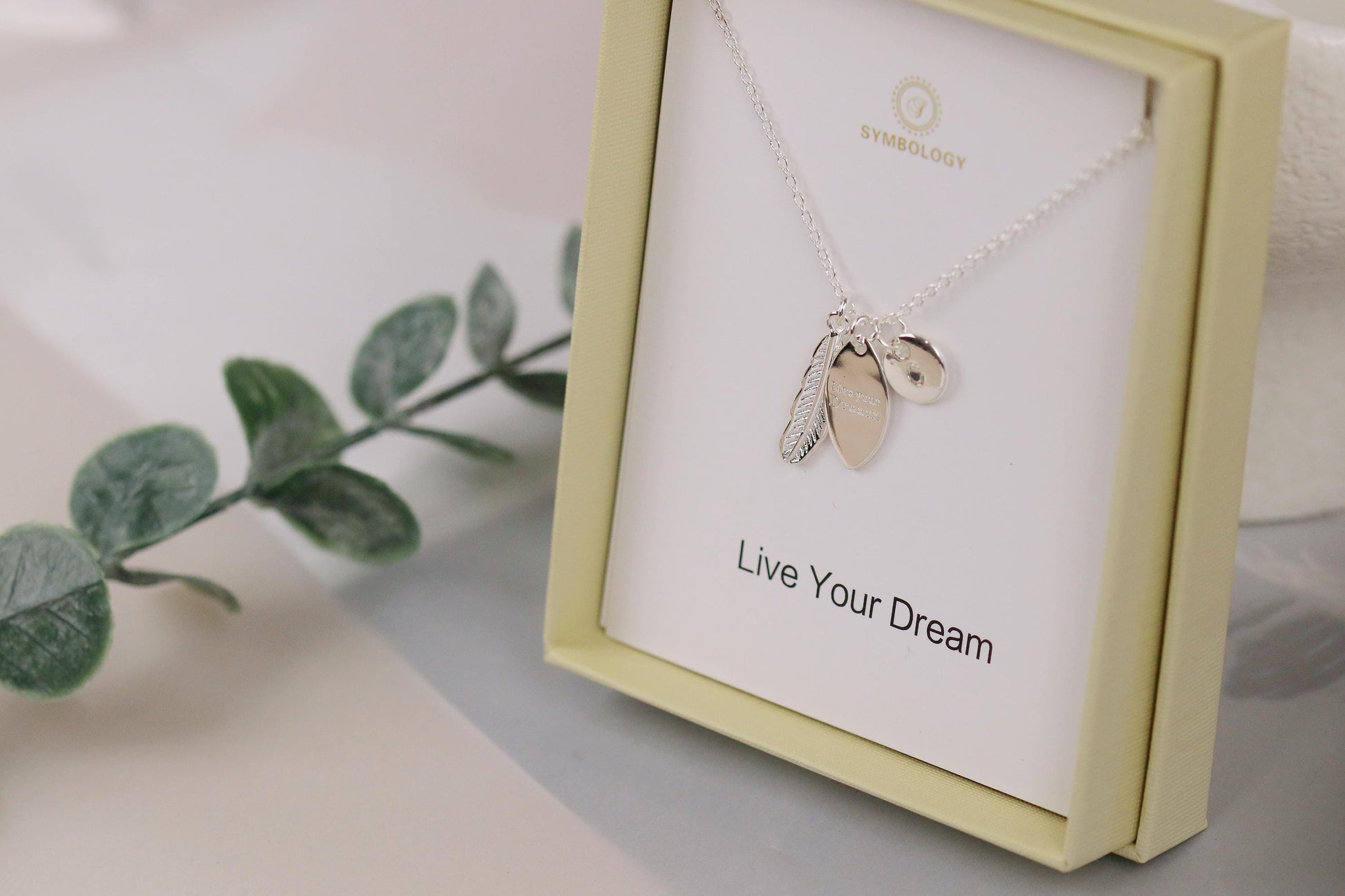 Silver Feather Pendant Necklace: 'Live Your Dream' Charm, Sentimental Gift