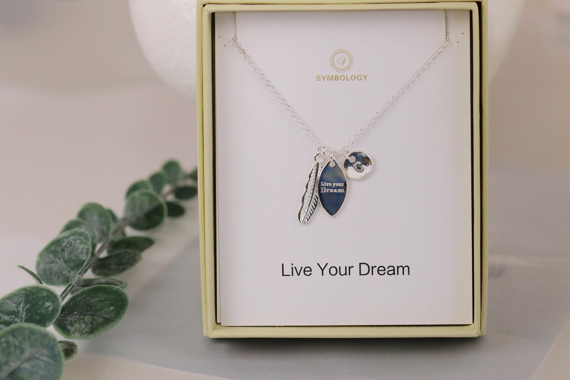 Silver Feather Pendant Necklace: 'Live Your Dream' Charm, Sentimental Gift